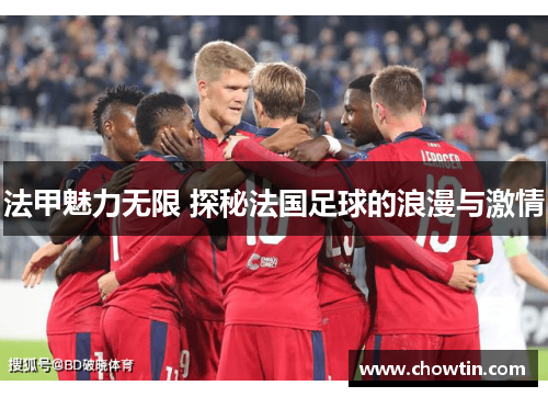 法甲魅力无限 探秘法国足球的浪漫与激情